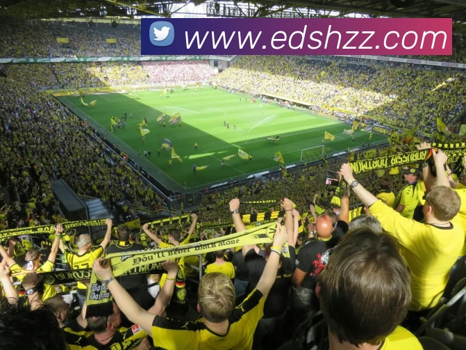 九游j9官网最新地址APP 封面图